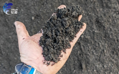 污泥增效劑在造紙污泥深度脫水領域的出色表現?-青島仕駿