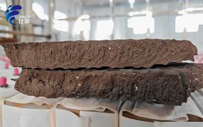 污泥增效劑：開啟污泥處理高效新時代-青島仕駿