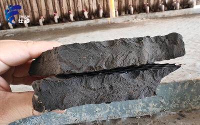 有機(jī)質(zhì)含量高時使用污泥增效劑效果如何-青島仕駿