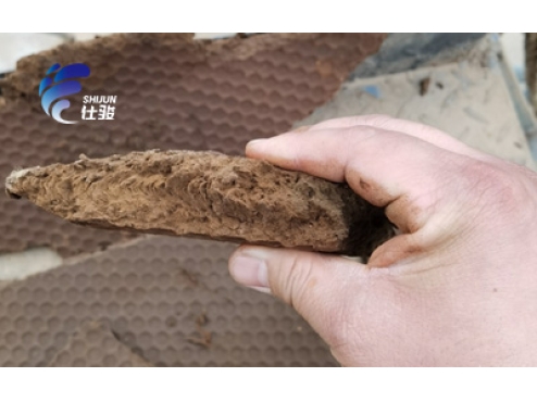 造紙廠生化污泥脫水可以使用什么調理劑-青島仕駿