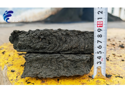 造紙污泥深度脫水:提高進泥量,實現(xiàn)泥餅自行脫落-青島仕駿